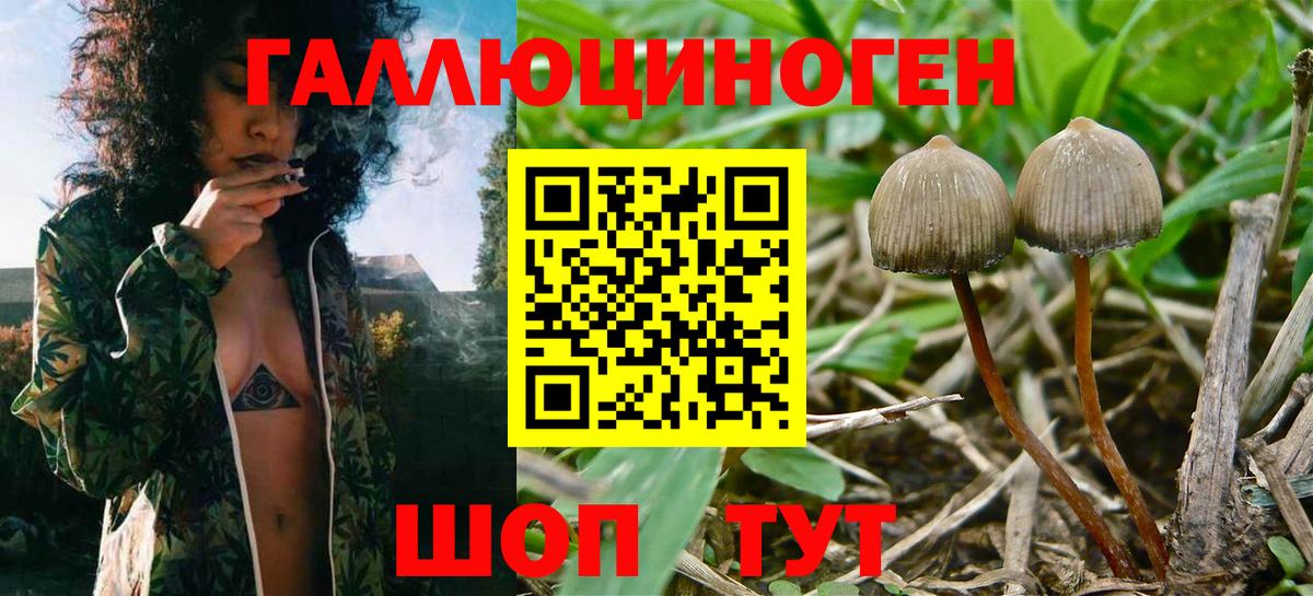Псилоцибиновые грибы ЛСД Узловая
